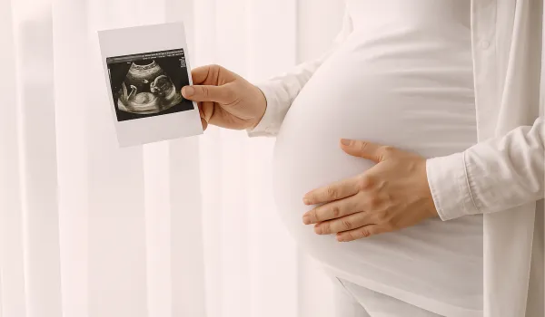 Пособие по беременности и родам при банкротстве