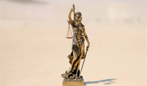 Сколько будет судов при банкротстве? Какие суды признают или отказывают в банкротстве?